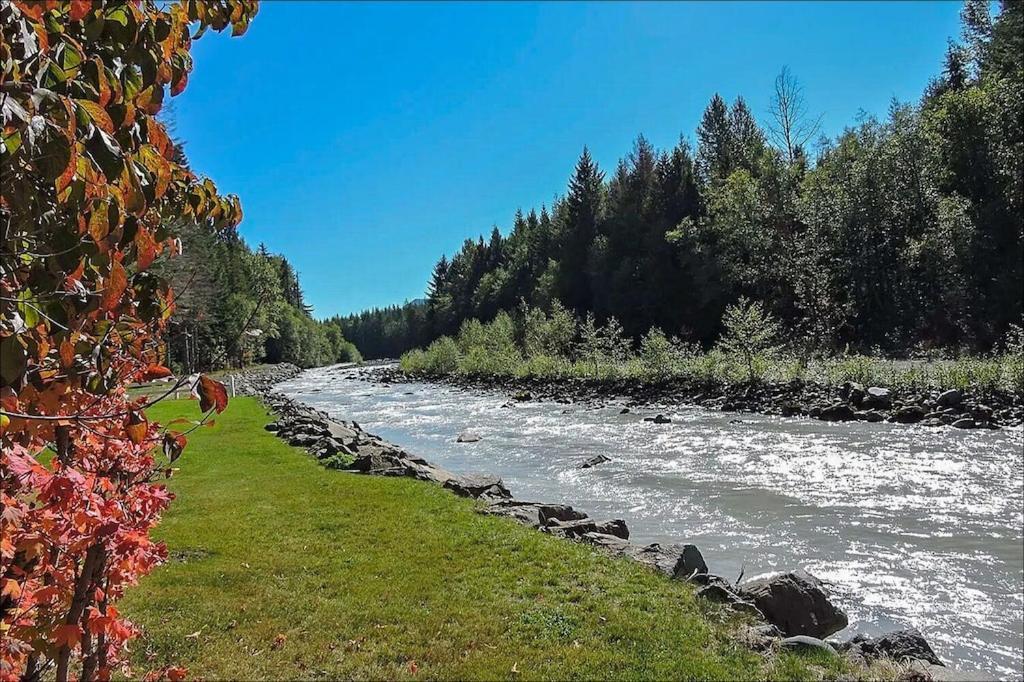 New: Steps From White River Near Mount Rainier National Park Greenwater Ngoại thất bức ảnh